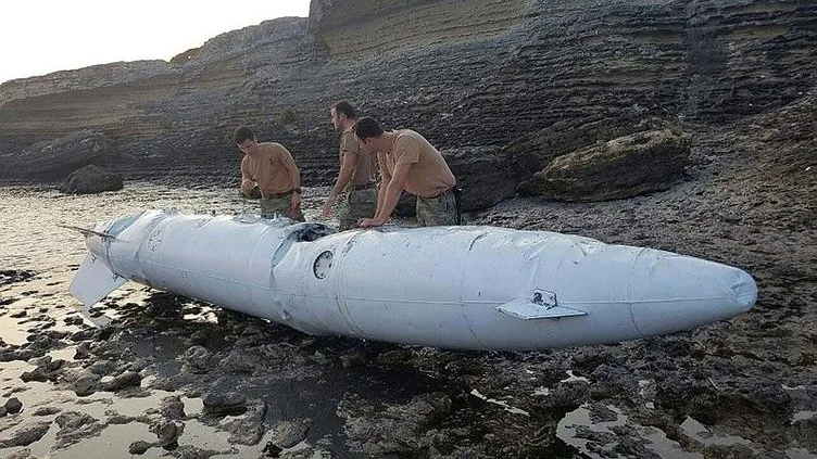 Sahile vurdu: Donanma alarma geçti
