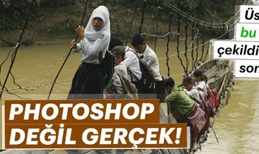 Bu köprüleri görenler çok şaşırıyor!