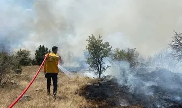 Bolu’da otluk alanda yangın çıktı