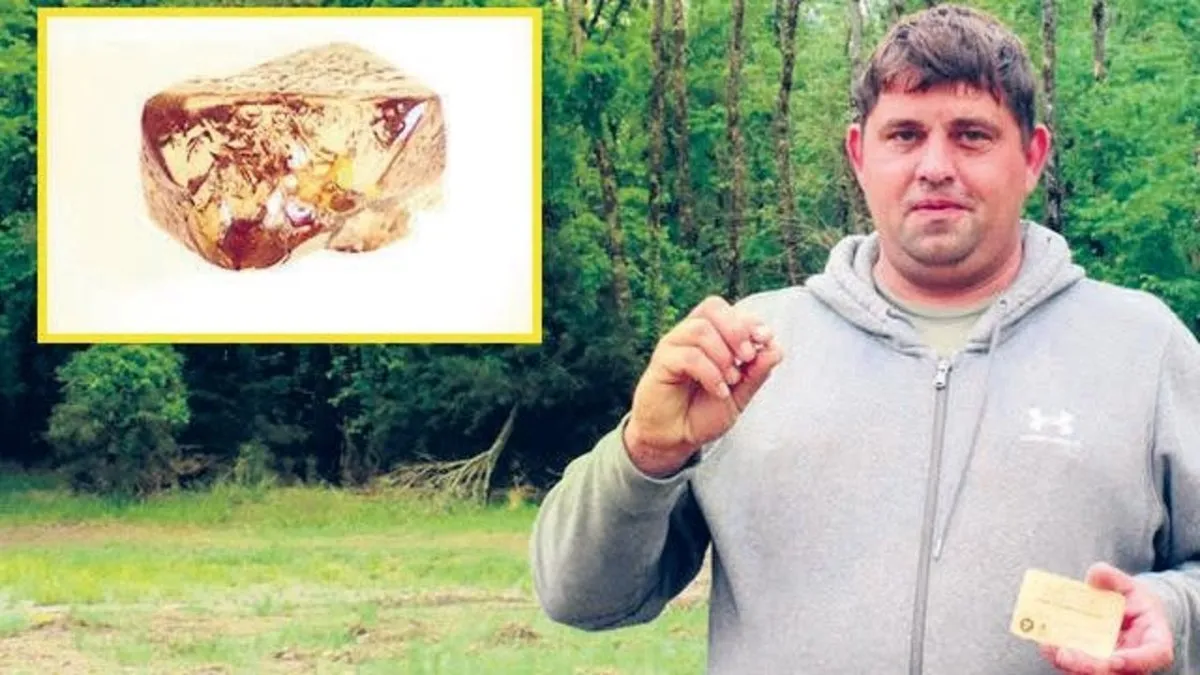 Çöp sandı elmas çıktı – Yaşam Haberleri