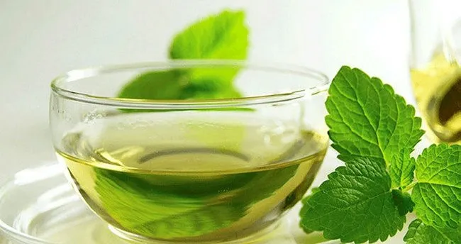 isirgan otunun faydalari nelerdir iste isirgan otunun bilinmeyen faydalari saglik haberleri