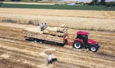 Kavurucu sıcakta ‘balya’ mesaisi #edirne