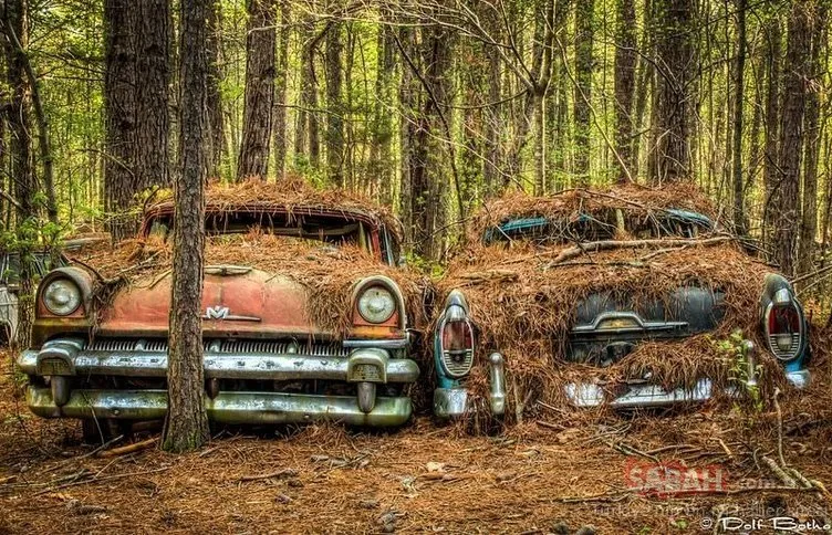 Ormandaki otomobil mezarlığının sırrı nedir?