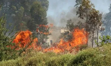 Yunanistan’ın Korinthos bölgesinde yangın: 1 ölü, 2 yaralı