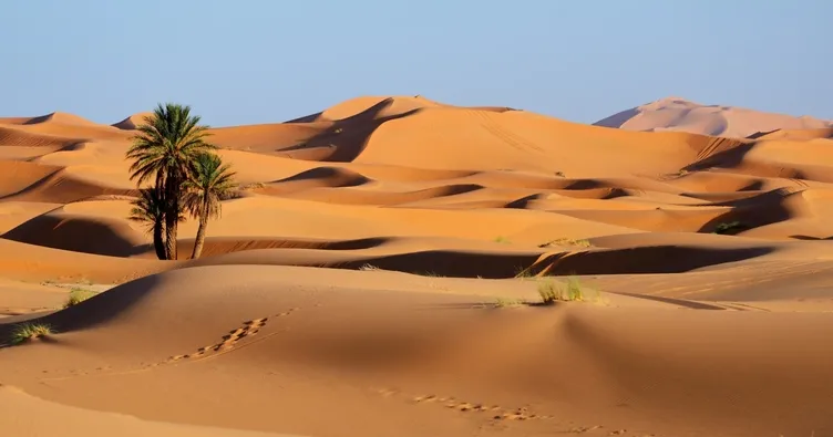 Çöl seyahati için 4 ayrı yer