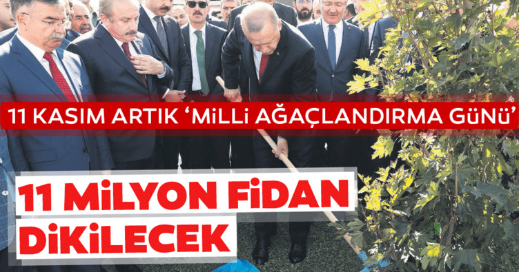 11 milyon fidan dikilecek