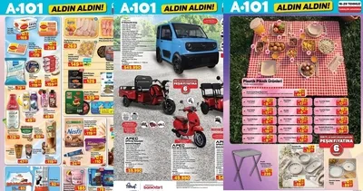 A101 AKTÜEL YENİ HAFTA İNDİRİMLERİ! A101 aktüel 16 Temmuz fırsatları: piknik sepeti, buzluk termos, çadır