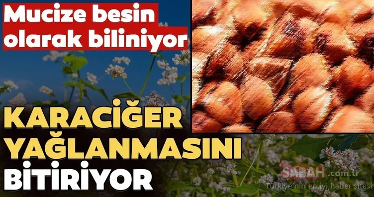 Karaciğer yağlanmasını yok ediyor...