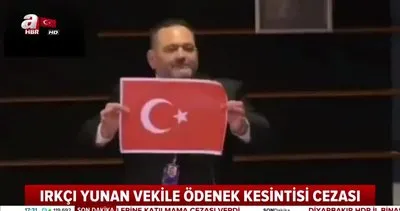 Son dakika! Türk Bayrağı’nı yırtan Yunan Milletvekili Ioannis Lagos’a verilen ceza açıklandı | Video