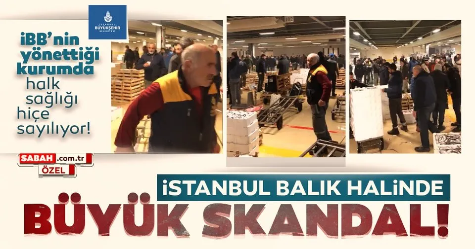 istanbul balik hali fiyatlari 2020