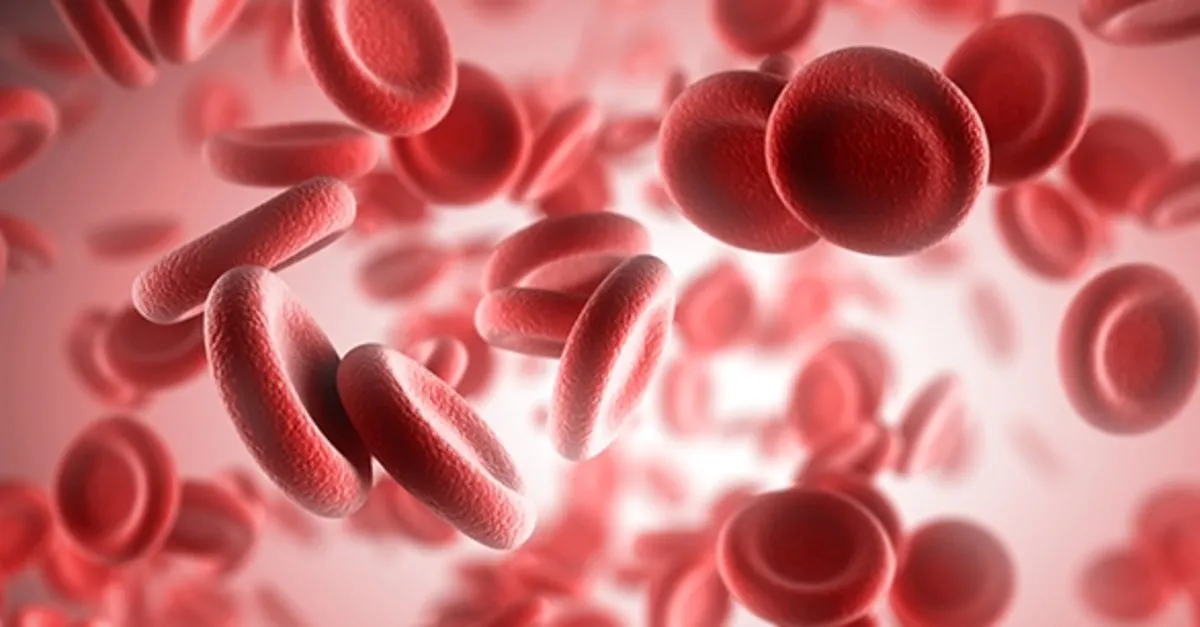 kansizlik belirtileri nelerdir anemi