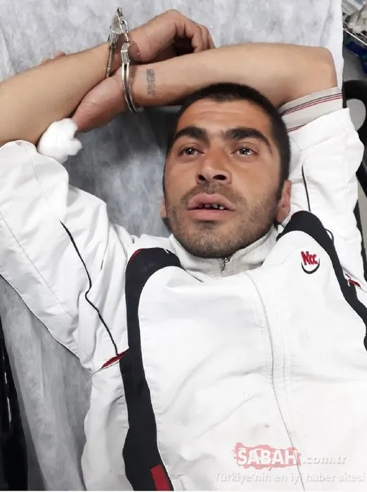 O cani için bakın ne ceza istendi