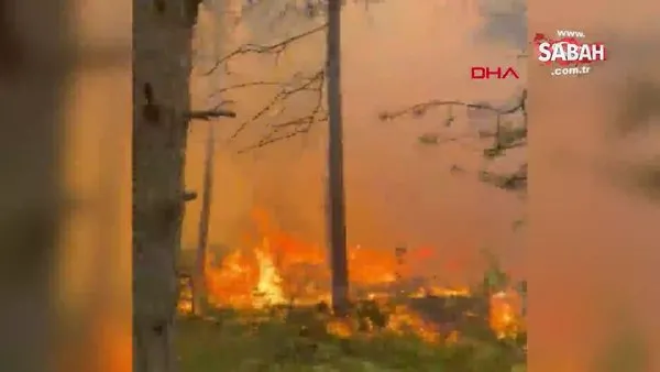 Tokat'taki orman yangını kontrol altına alındı | Video