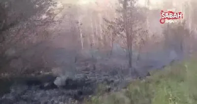 40 dönüm bahçe küle döndü, asırlık ceviz ağaçları yandı