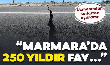 Son dakika: Prof.Dr. Aral Okay: Marmara’da 250 yıldır kırılmamış fay var