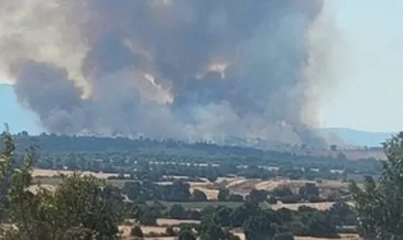 Bulgaristan'daki orman yangını Edirne sınırına dayandı! Ekipler teyakkuza geçti #edirne