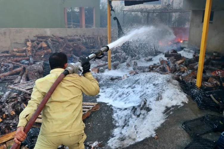 Son dakika! Hatay'daki yangında son durum! Bakan Pakdemirli'den yangında sabotaj iddialarına açıklama