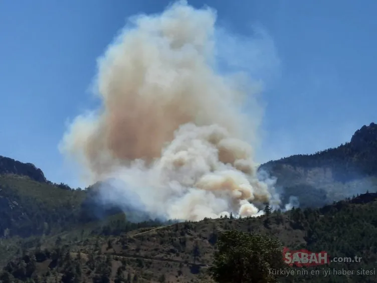 Adana Pozantı orman yangını son dakika: Adana orman yangınına müdahale başladı, son durum ne?