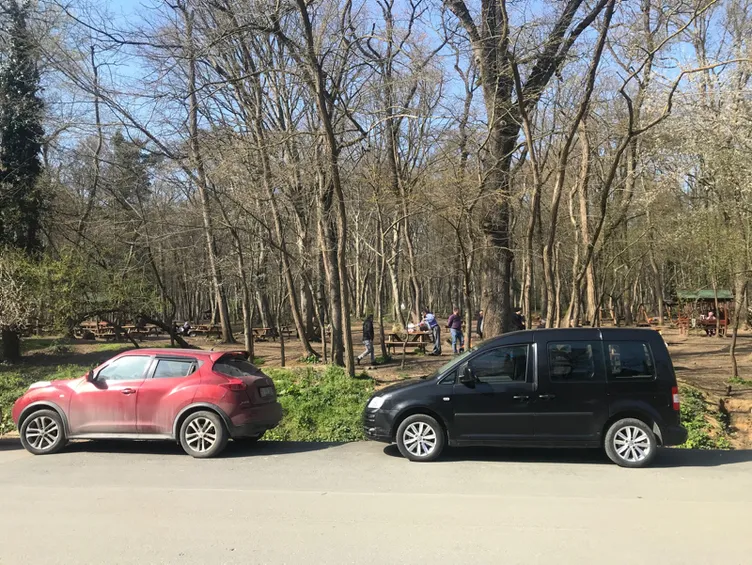 Son dakika: Koronavirüs uyarısını dinlemeyip Belgrad Ormanı'na akın ettiler