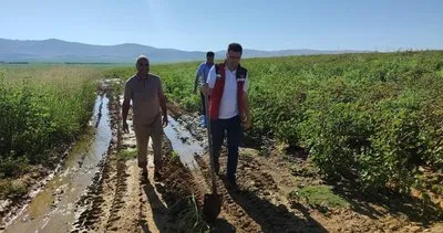 Şanlıurfa’da tarlada obruklar oluştu