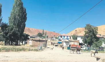 3 günde 15 dakika su