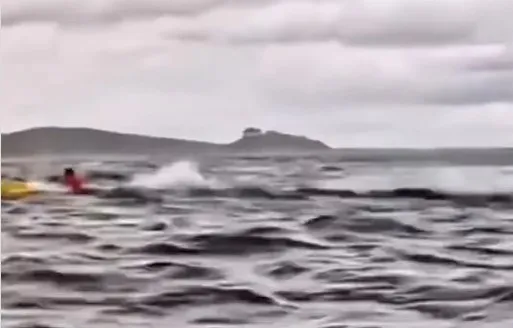 Şili’de balinanın yuttuğu adam konuştu! İnanılmaz olay nasıl oldu: Tek gördüğüm şey o oldu!