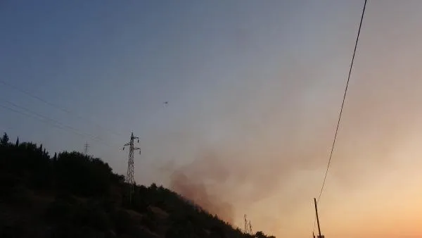 Son dakika: Söke'deki orman yangını kısmen kontrol altında! Havadan ve karadan müdahale sürüyor