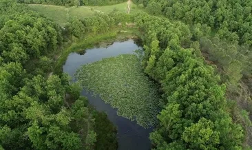 Nilüfer Gölü turizme açılıyor