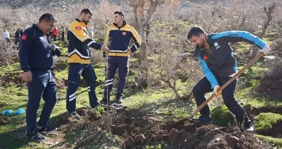 Cudi Dağı fidanlarla buluştu