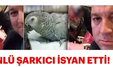 Mazhar Alanson, Murat Özdemir’in işkence ederek öldürdüğü papağanın konuşulmasına sitem etti!