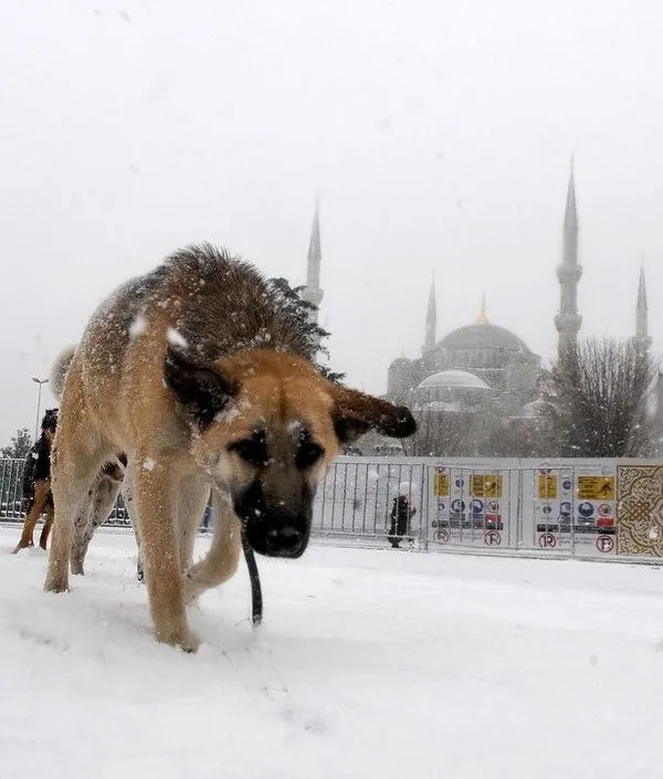 İstanbul'da kar çilesi