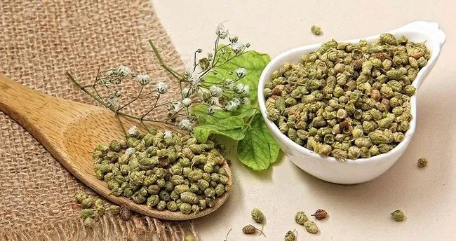 Kekik Çayı Faydaları – Kekik Çayının Faydaları Nelerdir, Ne İşe Yarar ve Hangi Hastalıklara İyi Gelir?