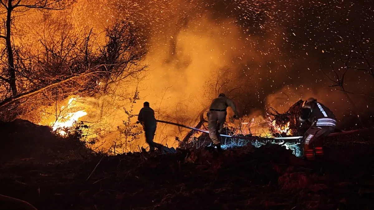 Beykoz’daki orman yangını 9 saatte kontrol altına alındı Beykoz’daki orman yangını 9 saatte kontrol altına alındı