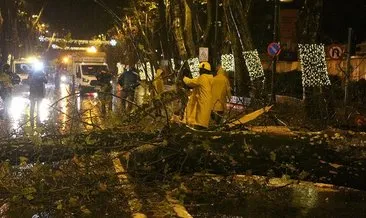 Beşiktaş’ta devrilmek üzere olan ağaç nedeniyle cadde trafiğe kapatıldı