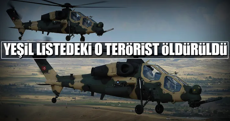 ’Yeşil listede’ bulunan 2 terörist öldürüldü