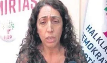 Bakan Soylu: Polise atılan yumruk HDPKK sevgisine kurban gitti