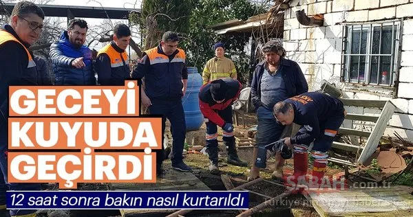 İzmir'de kuyuya düşen inek operasyonla kurtarıldı