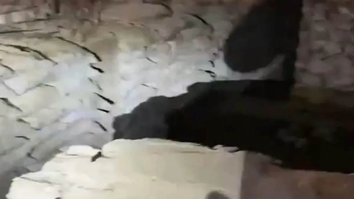 Pençe-Kilit Operasyonu bölgesinde tespit edilen mağaradaki malzemeler imha edildi Pençe-Kilit Operasyonu bölgesinde tespit edilen mağaradaki malzemeler imha edildi