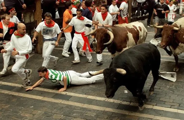 Çılgın festival başladı!