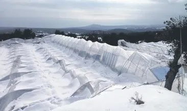 Çiftçinin 106 milyon liralık hasarını TARSİM ödüyor