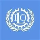 ILO kuruldu