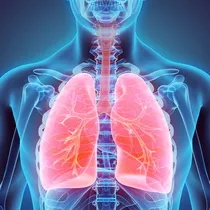 akciger iltihabi belirtileri nelerdir akciger iltihabi nedir neden olur saglik haberleri akciger iltihabi belirtileri nelerdir akciger iltihabi nedir neden olur saglik haberleri