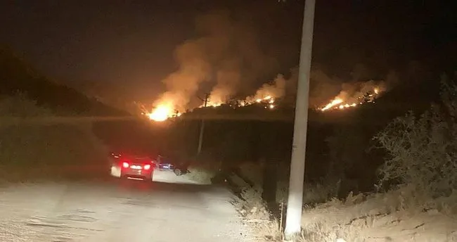 Son Dakika Bodrum Da Orman Yangini Son Dakika Haberler