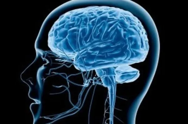 Beyne ilaç veren beyin implantı geliştirildi