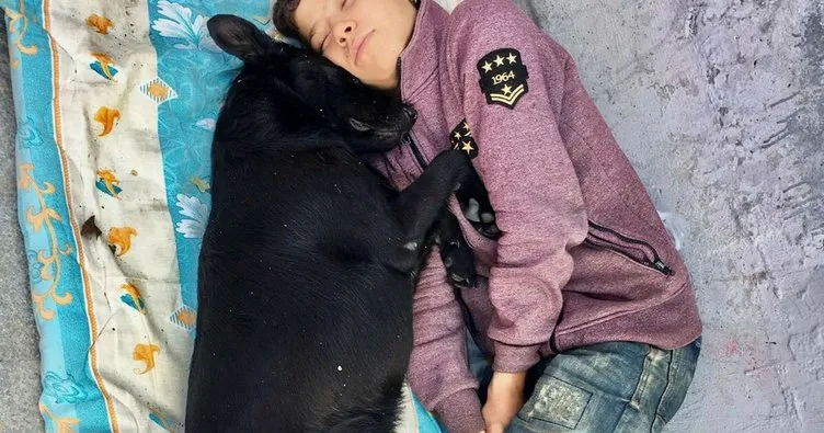 Beşiktaş’ta köpeğe sarılarak uyuyan çocuk yürekleri burktu