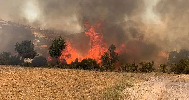 Kavaklıdere’de de yangın çıktı