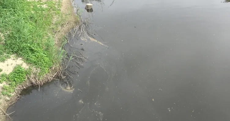 Gönen Çayı’nda çevre katliamı yaşanıyor