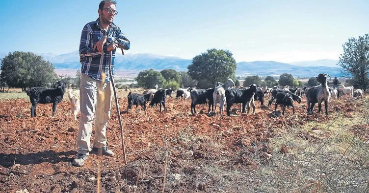 Çoban öğretmen