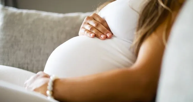 6 Hafta Gebelik Donemi Binbilgi Com
