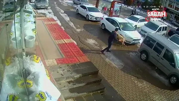 Bitlis'te kendisine saldıran köpeği yumrukla durduran vatandaş kamerada | Video